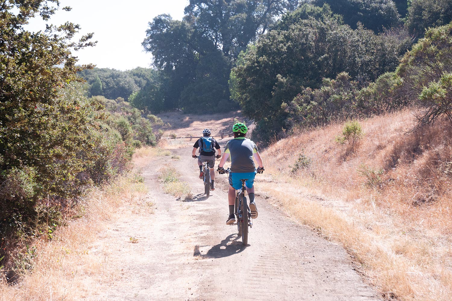 Open trails in Russian Ridge Open Space Preserve outside of Redwood City, California