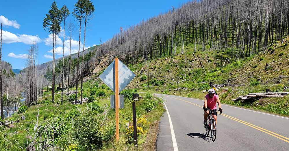 Photo of a woman riding her road bike on a country road in the hills with burn trees on the hillsides around her.